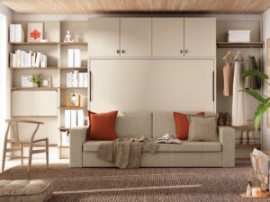 Habitación Juvenil Moderna con Cama Abatible con Sofá y Estanterías