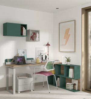 Zona de estudio evolutiva con escritorio, cajonera móvil y librería